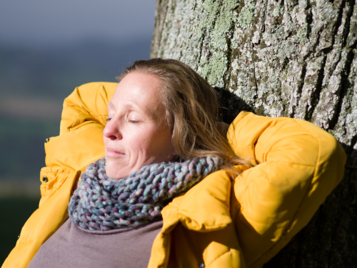 Ursprüngliches Verkörpern 3 Ursprüngliches Verkörpern 3